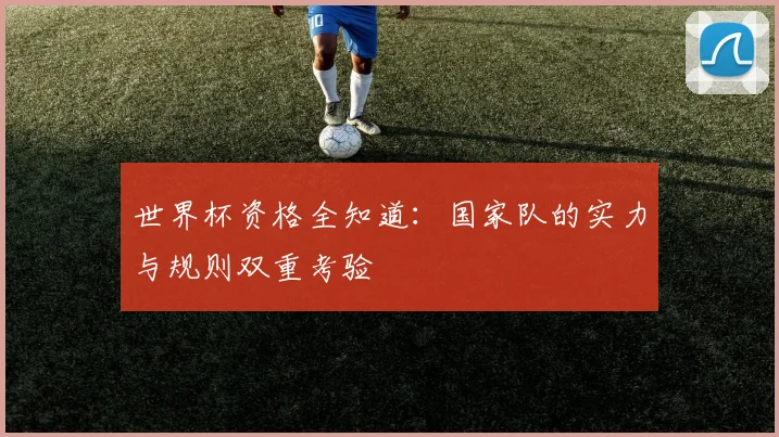 世界杯资格全知道：国家队的实力与规则双重考验